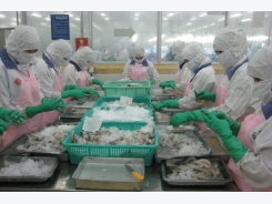 EU inspects Vietnamese shrimp export enterprises