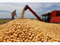 Vietnam's soybean imports to rebound in 2017 - USDA