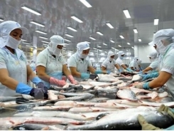 Ministry strives for sustainable development of tra fish