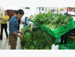 Vietnamese consumers willing to pay more for safe foods: survey