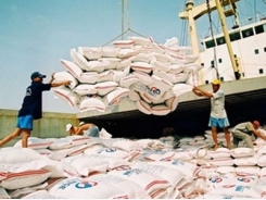 Philippine ban worries VN rice firms