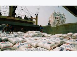 Vietnam's Q1 rice exports down but Chinese appetite set to grow