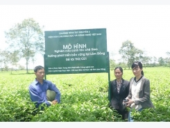 Da Nang set to build new High-tech farms
