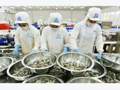 Hàn Quốc lùi thời gian kiểm dịch thủy sản