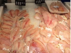 Vietnam fails to score big in Egyptian fish market
