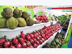 Vietnam's vegetable and fruit exports try to maintain sustainable growth