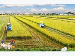 Cần Thơ city seeks French investment in agriculture