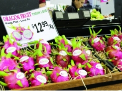 Promising prospects for exports to Australia