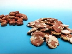 Nine protein alternatives for pig feeds
