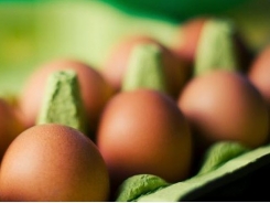 Fatty acid metabolism could lead to new 'designer' eggs