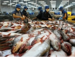 Measures sought for fisheries sector’s sustainable development