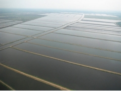 Retrofitting shrimp farms to recirculating systems