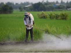 World Bank offers advice on reducing agricultural pollution in Vietnam