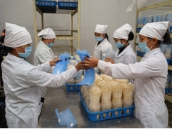 Supply chain the key to sustainable farming production in Vietnam