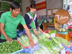 Long An: 12 more hi-tech vegetable production models to be implemented by year-end