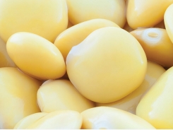 Lupins: an alternative protein source for poultry, pigs