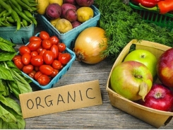 Organic produce exporters explore global opportunities