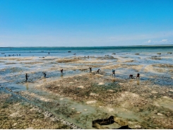 Sea cucumber project redefining traditional farming in Madagascar