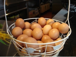 Bảo quản trứng gà tươi bằng màng bọc chitosan