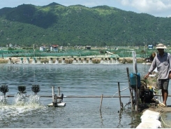 Solutions sought for sustainable fishery in Phu Yen