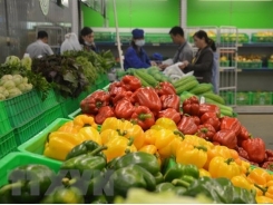 Vietnam seeks to export more agricultural products to RoK