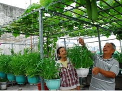 6 loại phân bón hữu cơ có sẵn tại nhà để trồng rau sạch