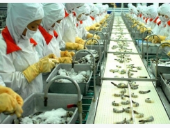 EU emerges Vietnam’s No1 seafood export market