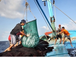 Vietnam hopes for removal of EU yellow card on seafood in May