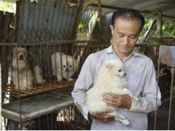 Nuôi chó kiểng, chồn hương thu nhập khá