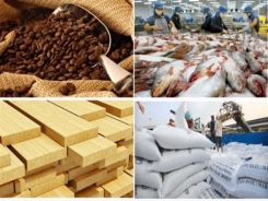 Reason for the highest GDP growth of agriculture in 13 years?