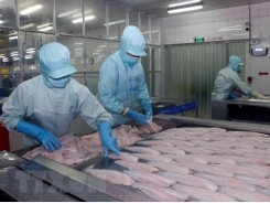 Ministry urges US to study Vietnamese tra fish market