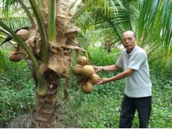 'Lão nông nghiệp dư' lập trang trại tổng hợp thu vài tỷ đồng/năm