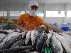 Nâng cao năng lực cạnh tranh và giá trị cho cá tra