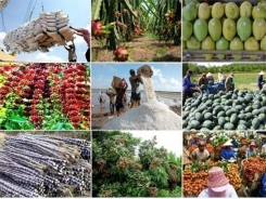 Agricultural products export billions of USD plunged together