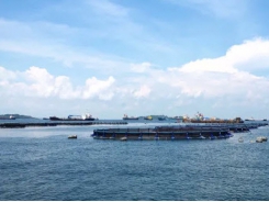 Singapore steps up aquaculture innovation