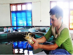Khánh Hòa Land-based farming of lobster