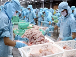 Vietnam fourth globally in seafood exports
