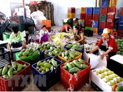Fruit, vegetable exports down 9.9 percent in Jan-Feb