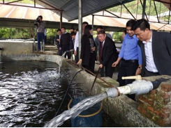 Lào Cai to set up agricultural speciality areas