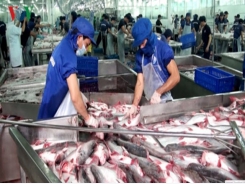 Aquatic exports earn US$1.1 billion in two months