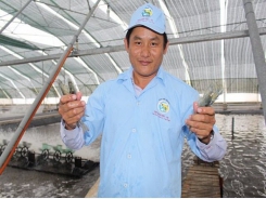 Shrimp sector aims high despite declining exports