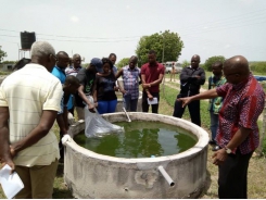 Ghana launches online aquaculture course