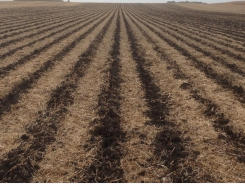 Tillage vs no-till: a farmer’s cost comparison