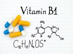 Bổ sung Vitamin B1 cho vật nuôi