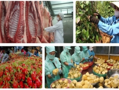 Farm produce exports face RoK’s rigid rules