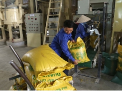 Rice firms face bankruptcy as trade face difficulties