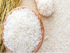 Rice exports to Angola soar over two-month period