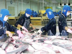 Prices of pangasius fish, poultry eggs in Mekong Delta continue to decline