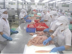 U.S. postpones assessment of Vietnam’s tra fish safety