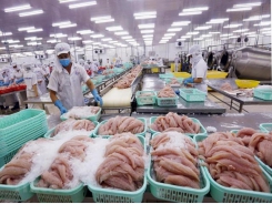 The bad news and good news about seafood exports to China